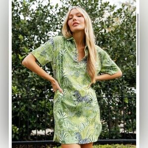 Sheridan French Rhodes Dress in Pistachio Zebra Soirée Large NWT